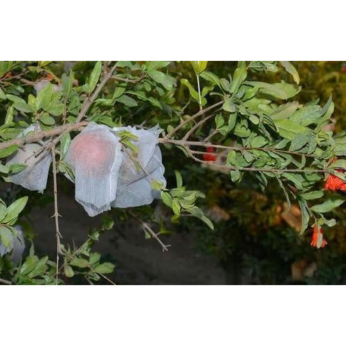 image14